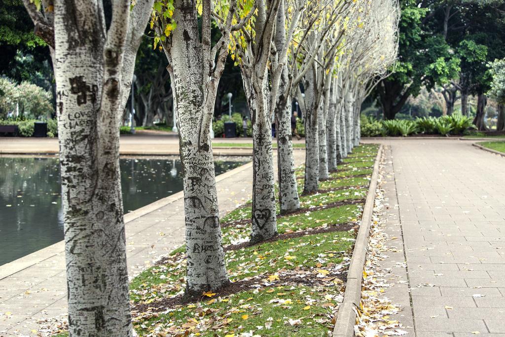 Oaks Sydney Hyde Park Suites Eksteriør billede